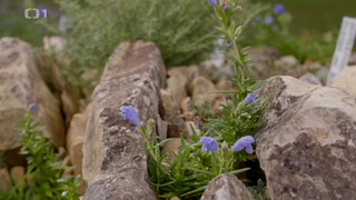 Co naše babičky uměly a na co my jsme zapomněli