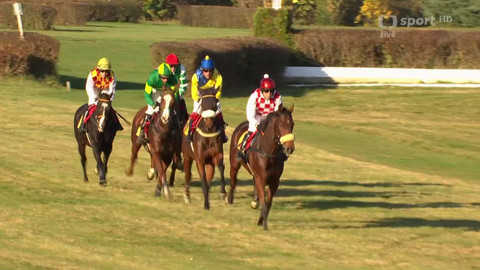 Dostihy - Velká slušovická steeplechase