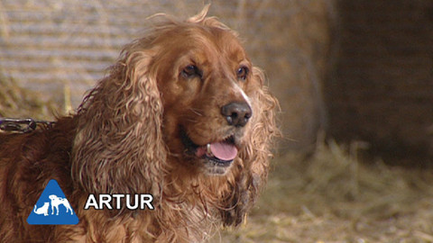 Chcete mě? - Chcete je?