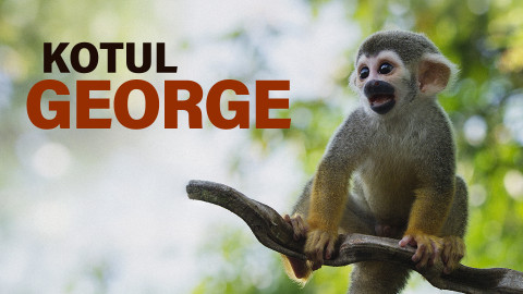 Kotul George