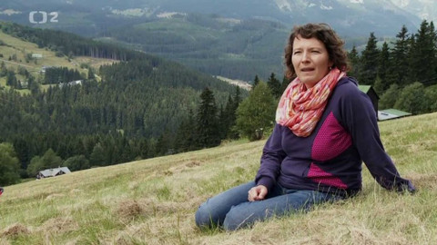 Rok jinak - Rok jinak Hany Hniličkové