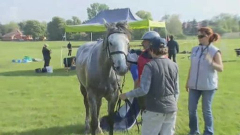 Jezdectví - Bábolna Derby 2010