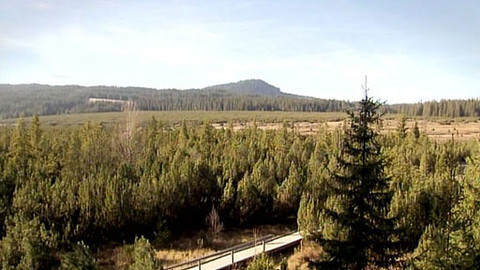 Ztracené adresy - Horní a Dolní Borková