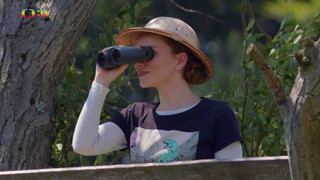 Alenka v říši GIFů II