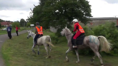 Jezdectví - M ČR ve vytrvalosti, Borotín