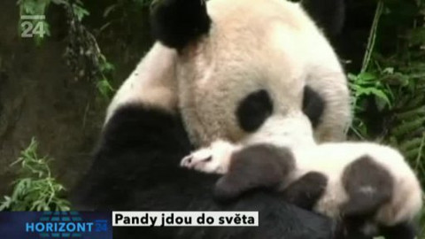 Horizont ČT24 - 27. února 2011