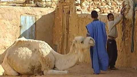 Cestou i necestou - 26/26 Zidane z Mauretánie