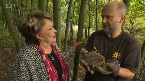 Hobby naší doby - 4. listopadu 2017