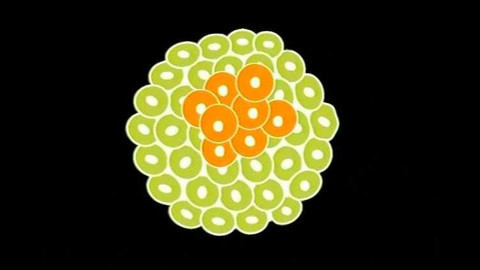 Popularis - 8. ledna 2004