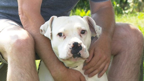 Chcete mě? - Chcete je?