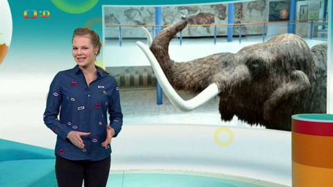 Zprávičky - 21. prosince 2017