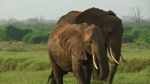 Horizont ČT24 - 9. srpna 2017