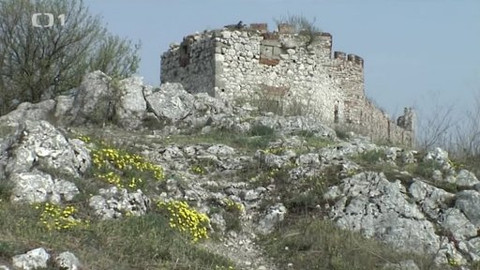 Toulavá kamera - 11. května 2014