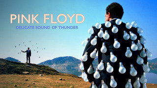 Pink Floyd - Delicate Sound of Thunder