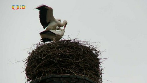 Novinky z přírody - Epizoda 4/53