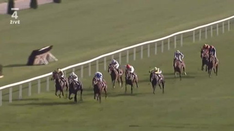 Jezdectví - Velká cena Prahy