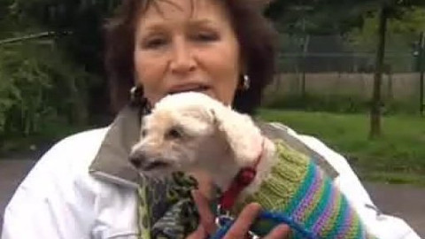 Chcete mě? - Chcete je?