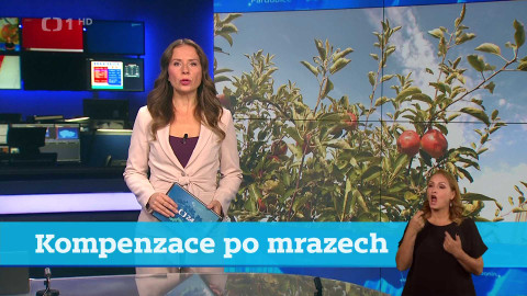 Události v regionech (Brno) - 14. října 2024