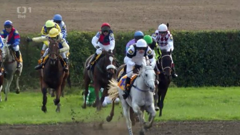 Velká pardubická - 123. Velká pardubická