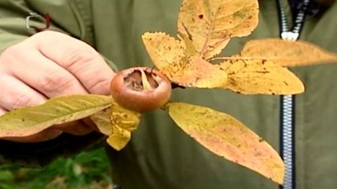 Zahrada je hra - 14. února 2008