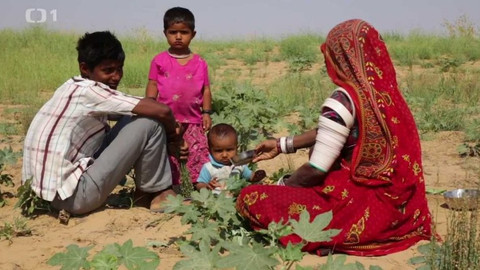 Objektiv - 2. července 2017