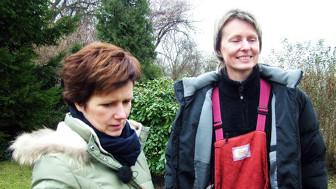 13. komnata - 13. komnata Heleny Sukové