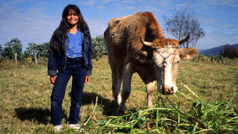 Můj mazlíček - 2/26 Elodie a její telátko