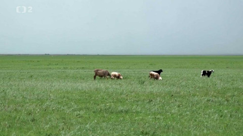 Expominuty 2017: Moc energie - 10/10 Poslední dnové Expa