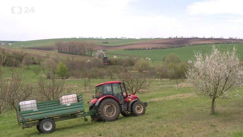 Regiony ČT24 - 1. května 2021