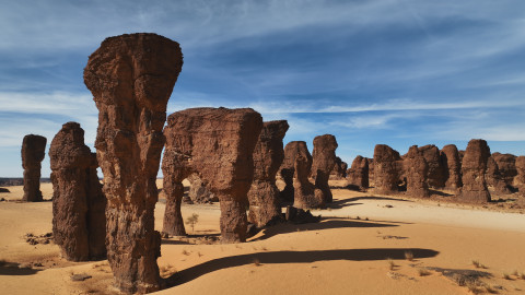 Planeta Země - 3/8 Pouště a pastviny