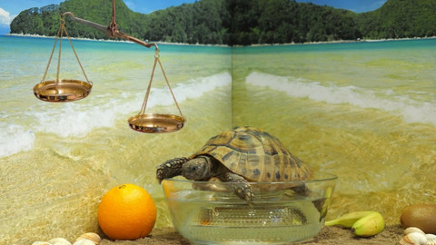 Politika se nás týká - 4. Politická strana