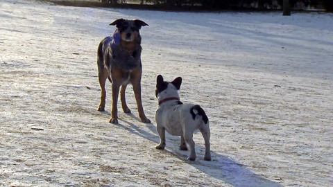 Nedej se! - Stop množírnám