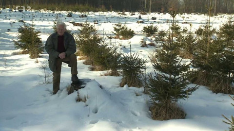 Nedej se! - Smrk kapitalismu