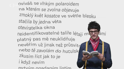 Jedna báseň - Matěj Lipavský