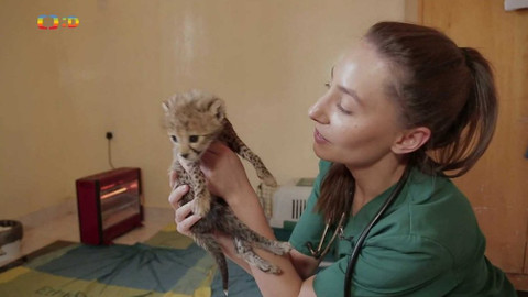 Zprávičky - 27. března 2019