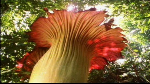 Kaleidoskop - 24. ledna 2010