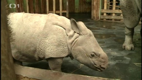 Toulavá kamera - 29. června 2014