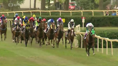 Turf - 13. srpna 2014