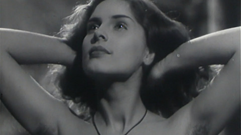 Portréty - Divá Bára