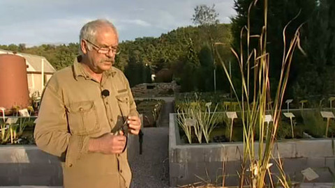 Zahrada pod lupou - 9. listopadu 2011