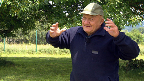 Chcete mě? - 3. července 2011