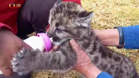 Zprávičky - 27. srpna 2024