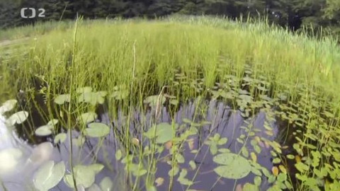 Nedej se! - Vany pro kapry