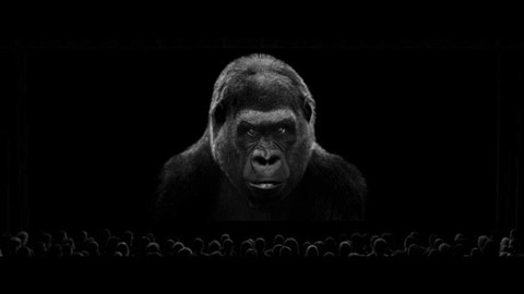 MFDF Ji.hlava - Dokumentární radost z Jihlavy 2015