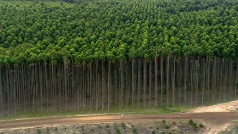 Přežijeme na naší planetě? - 8/8 Lesy a lidé II