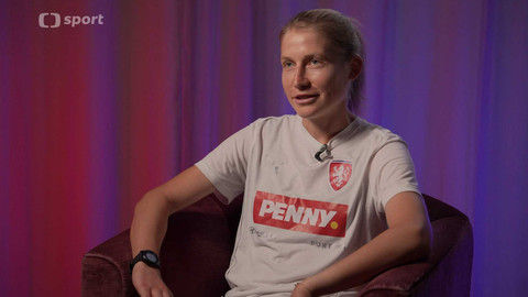 Lvice mimo hřiště - Kamila Dubcová