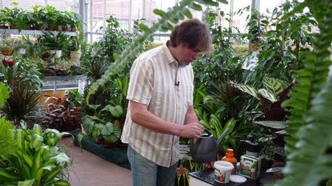 Zahrada pod lupou - 31. března 2012