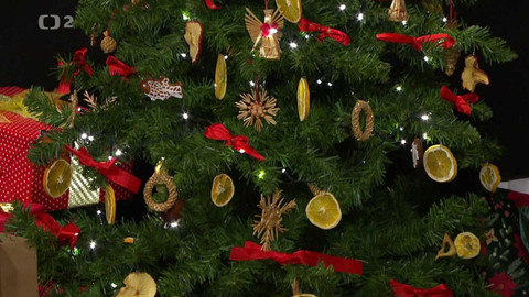 Televizní klub neslyšících - 13. prosince 2023