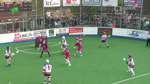 Lakros - Memoriál Aleše Hřebeského