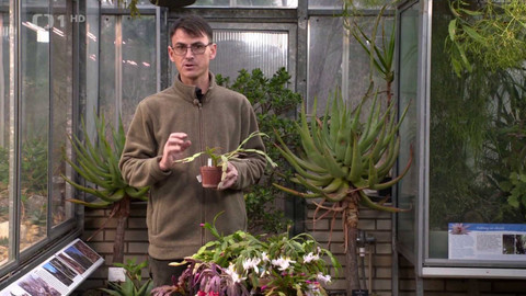 Hobby naší doby - 17. ledna